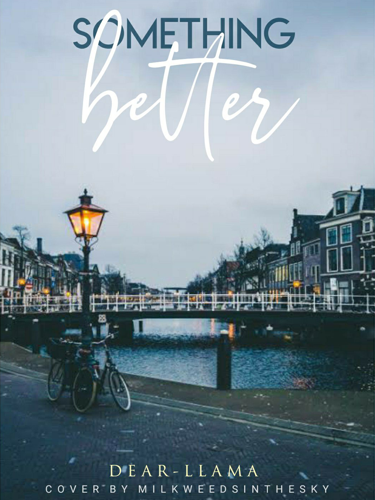Cover of 'Something Better'