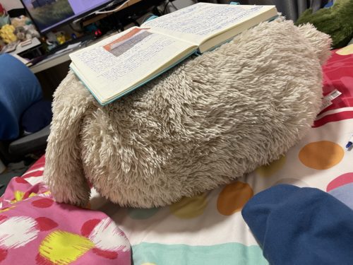 Notebook atop a furry cushion